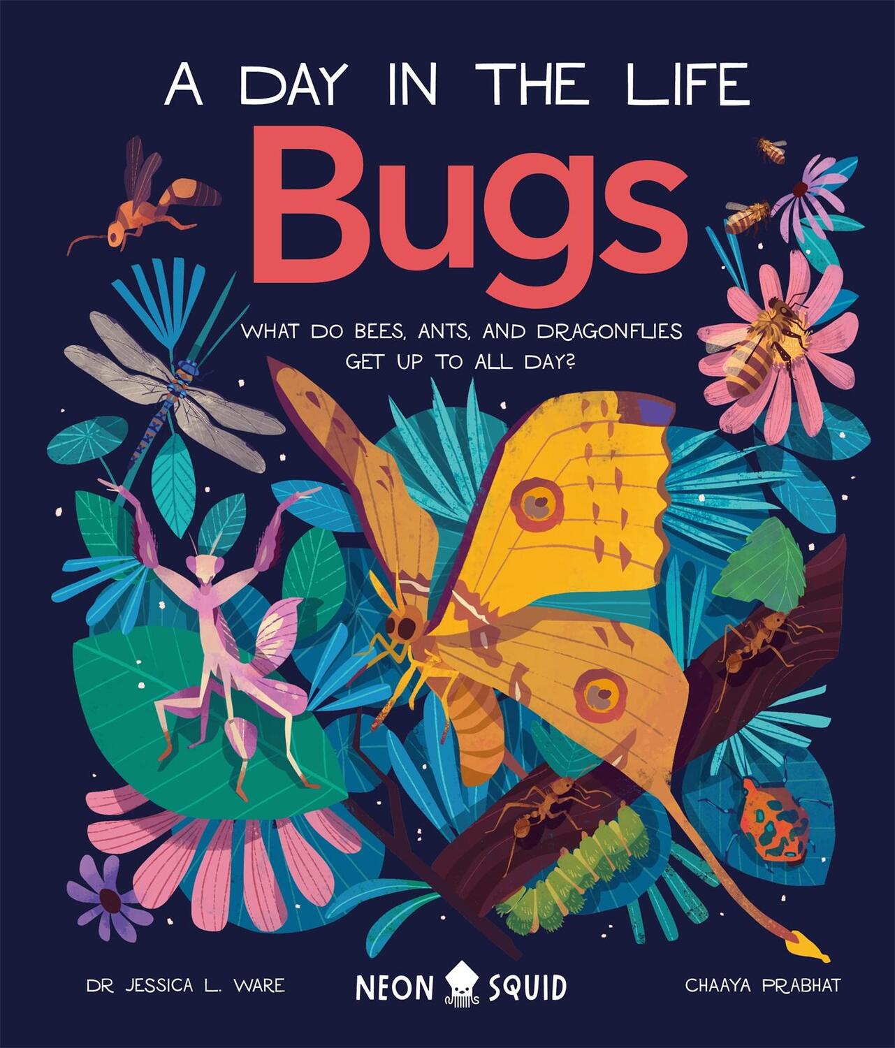 Cover: 9781838991555 | Bugs (A Day in the Life) | Jessica L. Ware | Buch | A Day in the Life