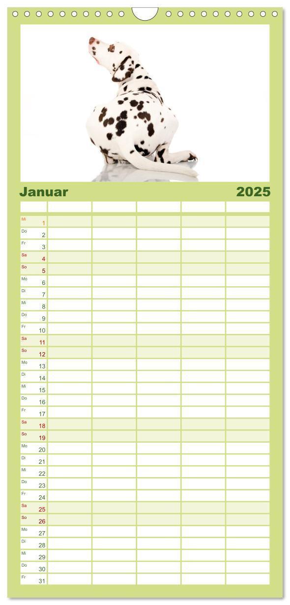 Bild: 9783457113578 | Familienplaner 2025 - Dalmatiner mit 5 Spalten (Wandkalender, 21 x...