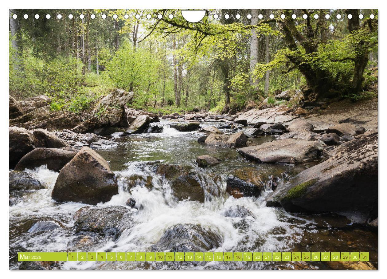 Bild: 9783435139569 | Eifel Sehnsucht (Wandkalender 2025 DIN A4 quer), CALVENDO...