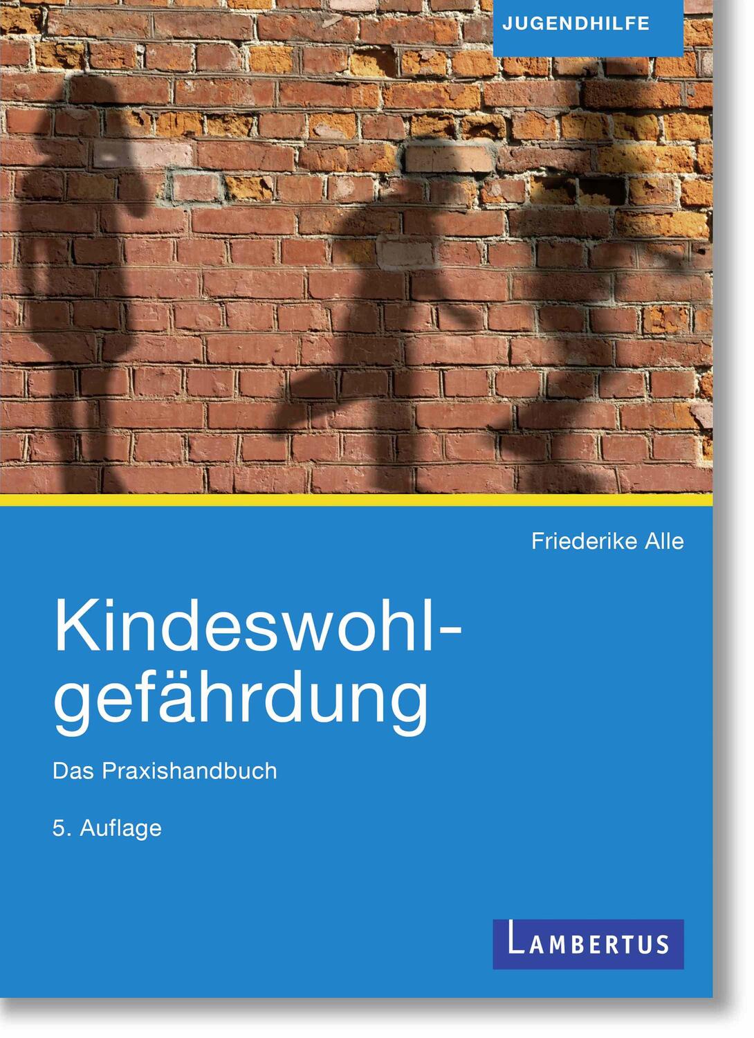 Cover: 9783784136721 | Kindeswohlgefährdung | Das Praxishandbuch | Friederike Alle | Buch
