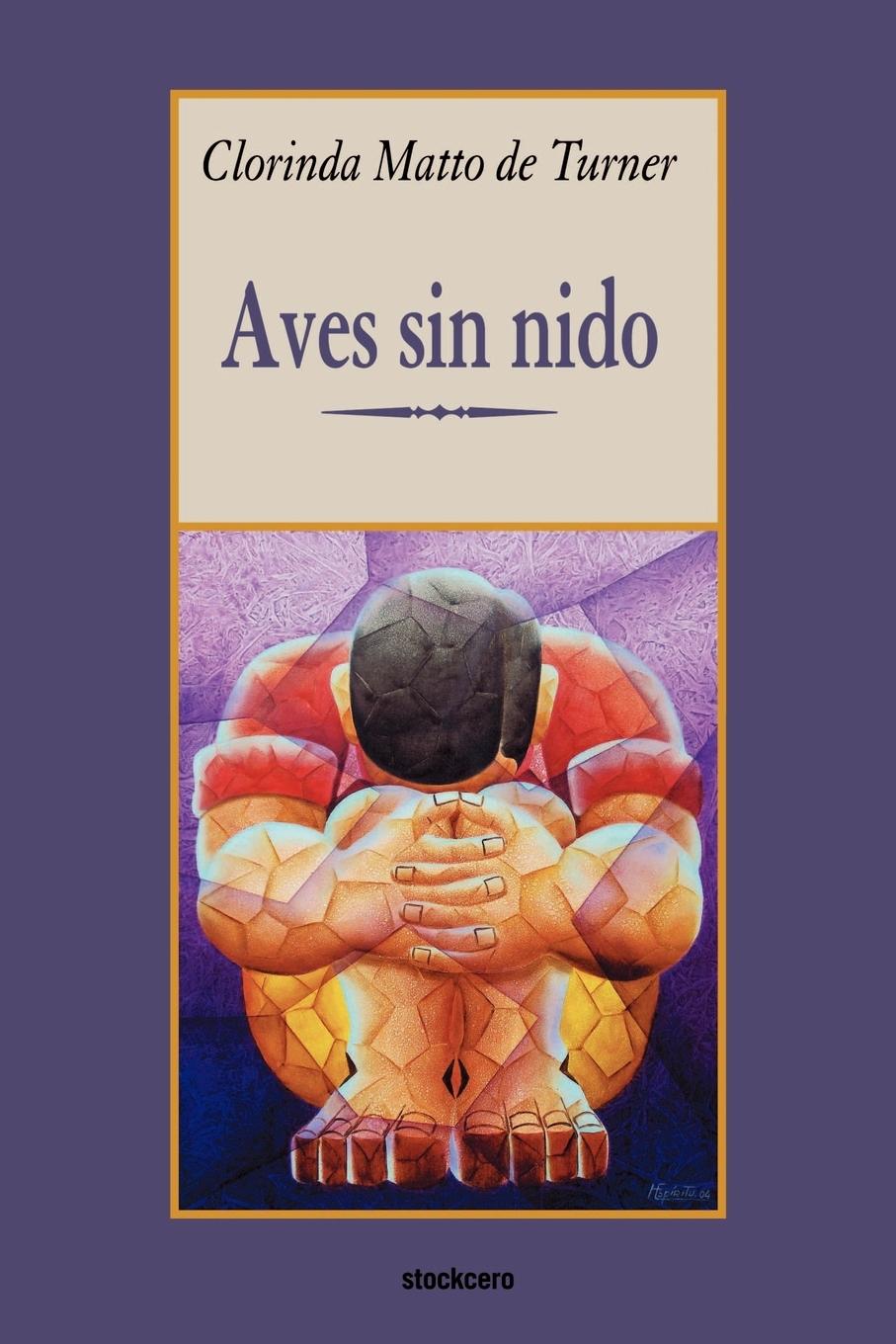 Cover: 9789871136155 | Aves sin nido | Clorinda Matto De Turner | Taschenbuch | Spanisch