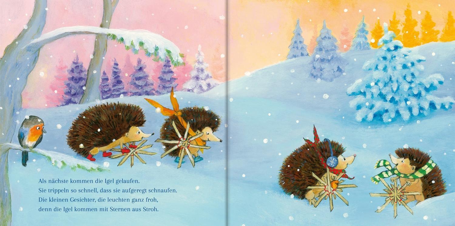 Bild: 9783789114984 | Im Wald gibt's heut ein Weihnachtsfest | Susanne Lütje | Buch | PAPPE