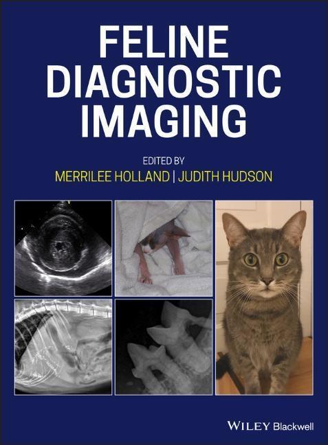 Cover: 9781118840948 | Feline Diagnostic Imaging | Merrilee Holland (u. a.) | Buch | XIII