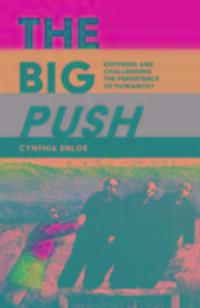 Cover: 9780995590007 | The Big Push | Exposing and Challenging the Persistence of Patriarchy