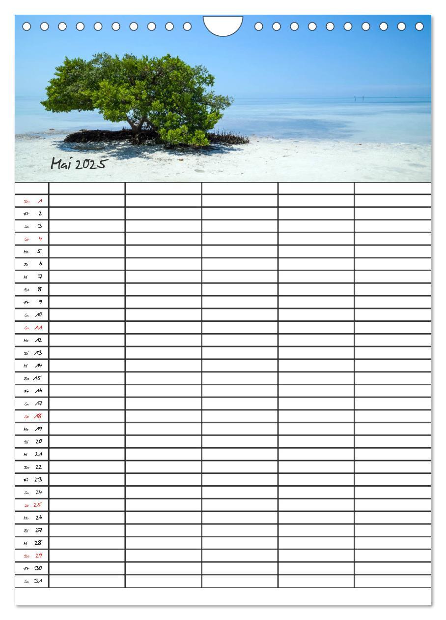 Bild: 9783457027301 | Idyllisches Florida / Familienplaner (Wandkalender 2025 DIN A4...