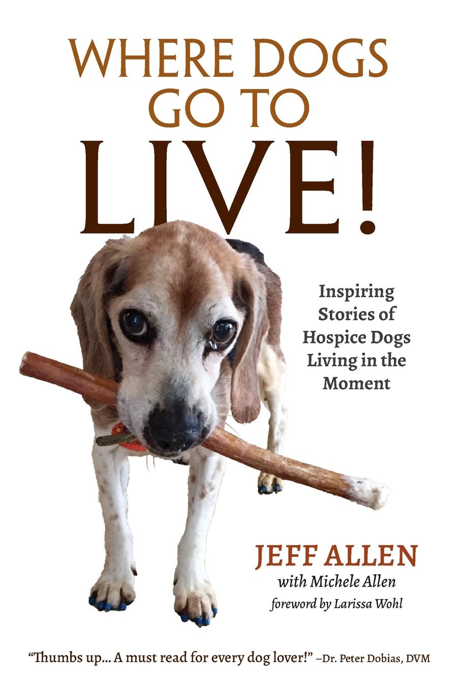 Cover: 9781735181004 | Where Dogs Go To LIVE! | Jeff Allen | Taschenbuch | Englisch | 2020