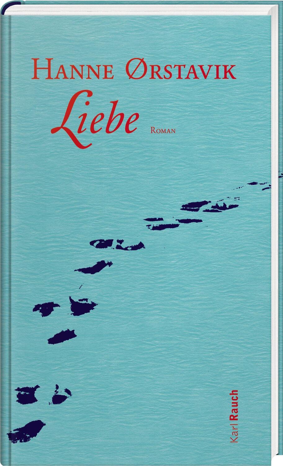 Cover: 9783792002506 | Liebe | Hanne Ørstavik | Buch | Deutsch | 2017 | Rauch, Karl Verlag