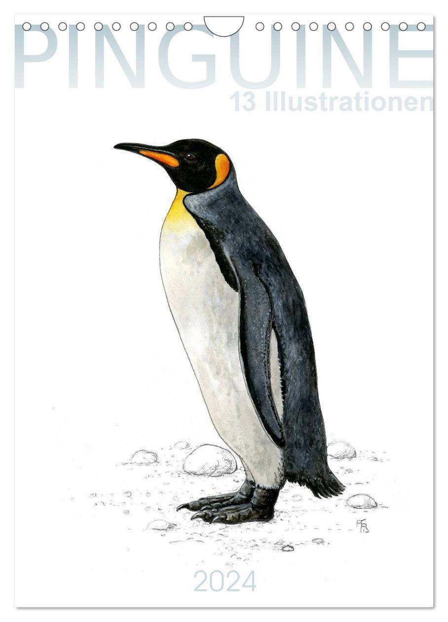 Cover: 9783675579477 | Pinguine - 13 Illustrationen (Wandkalender 2024 DIN A4 hoch),...
