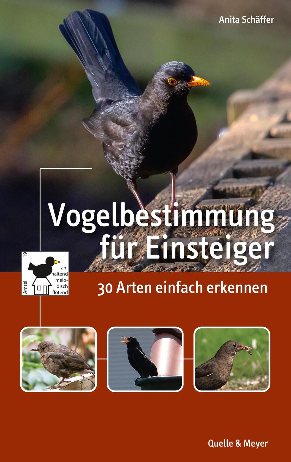 Cover: 9783494018133 | Vogelbestimmung für Einsteiger | 30 Arten einfach erkennen | Schäffer