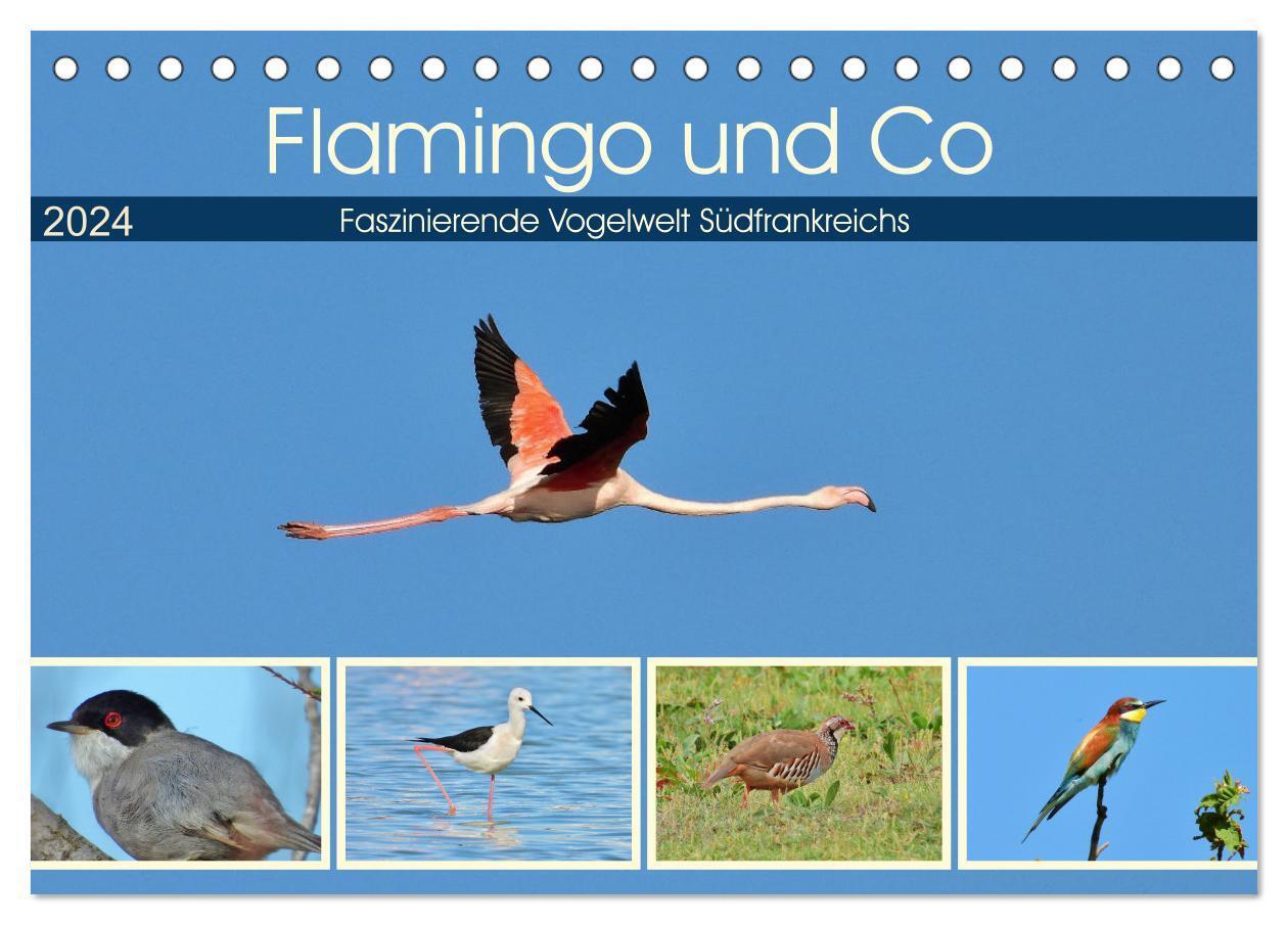 Cover: 9783383091766 | Flamingo und Co - Faszinierende Vogelwelt Südfrankreichs...