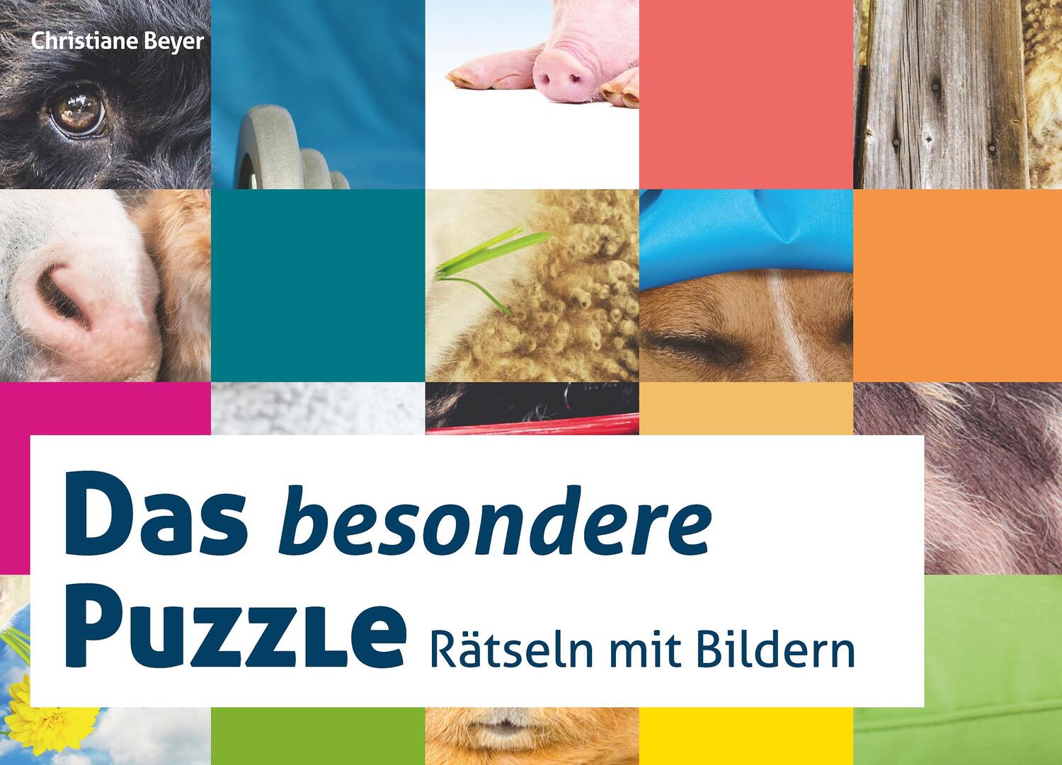 Cover: 9783866305670 | Das besondere Puzzle | Raten mit Bildern | Christiane Beyer | Spiel
