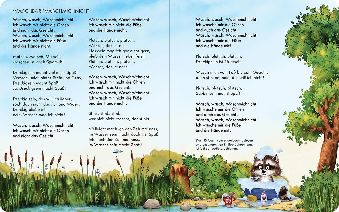 Bild: 9783845840994 | Der kleine Waschbär Waschmichnicht - Pappeausgabe | Britta Sabbag