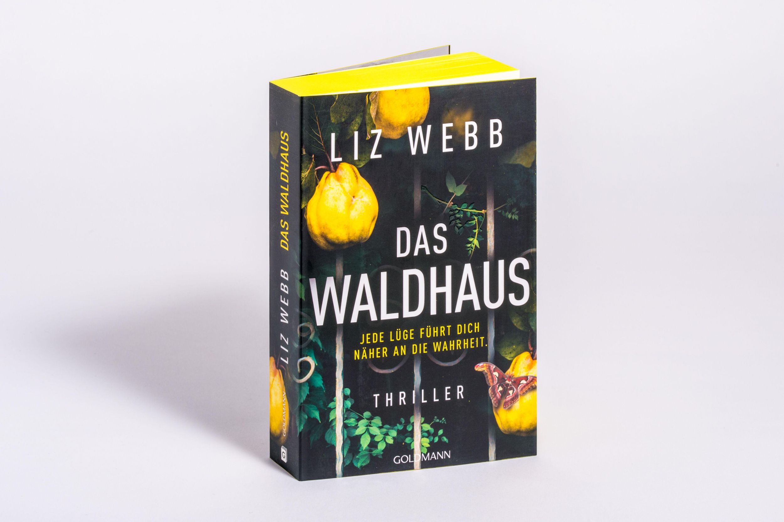 Bild: 9783442495382 | Das Waldhaus | Thriller | Liz Webb | Taschenbuch | 416 S. | Deutsch