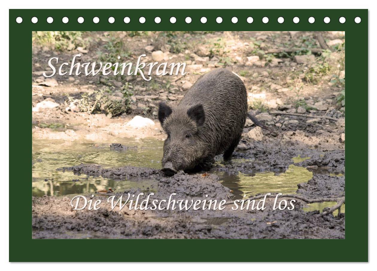 Cover: 9783435776429 | Schweinkram - Die Wildschweine sind los (Tischkalender 2025 DIN A5...