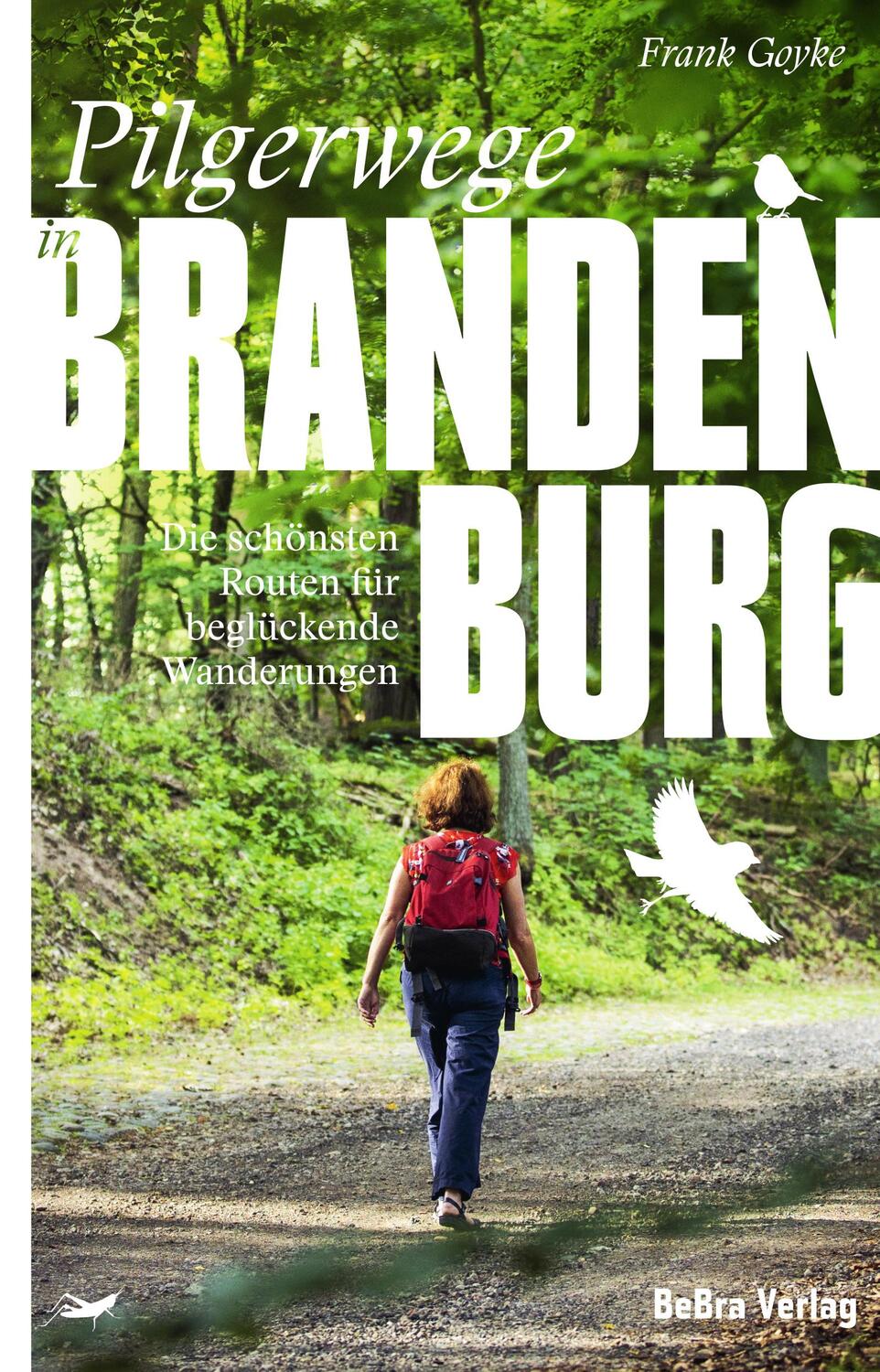 Cover: 9783898092210 | Pilgerwege in Brandenburg | Frank Goyke | Taschenbuch | Deutsch | 2023