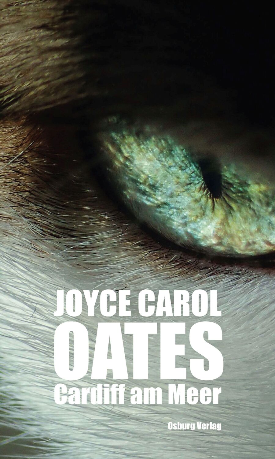 Cover: 9783955102425 | Cardiff am Meer | Erzählungen | Joyce Carol Oates | Buch | Deutsch