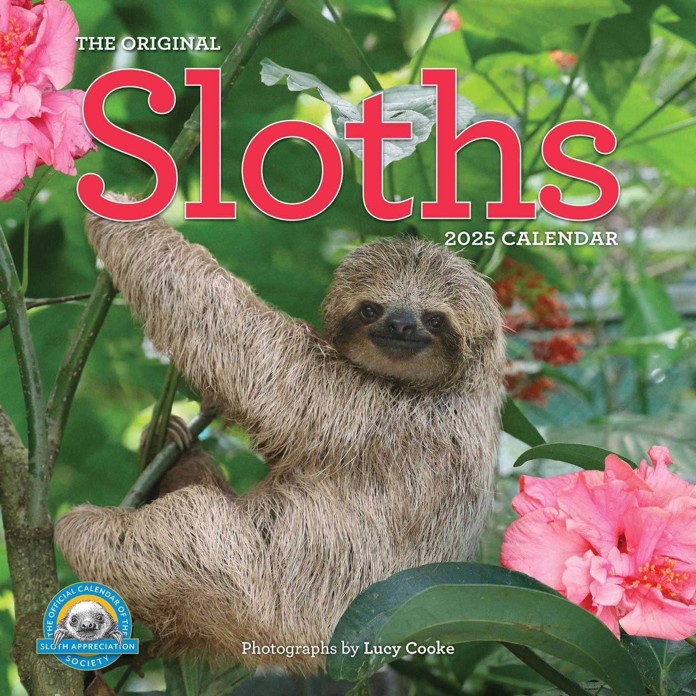 Cover: 9781523524822 | Original Sloths Wall Calendar 2025 | Lucy Cooke (u. a.) | Kalender