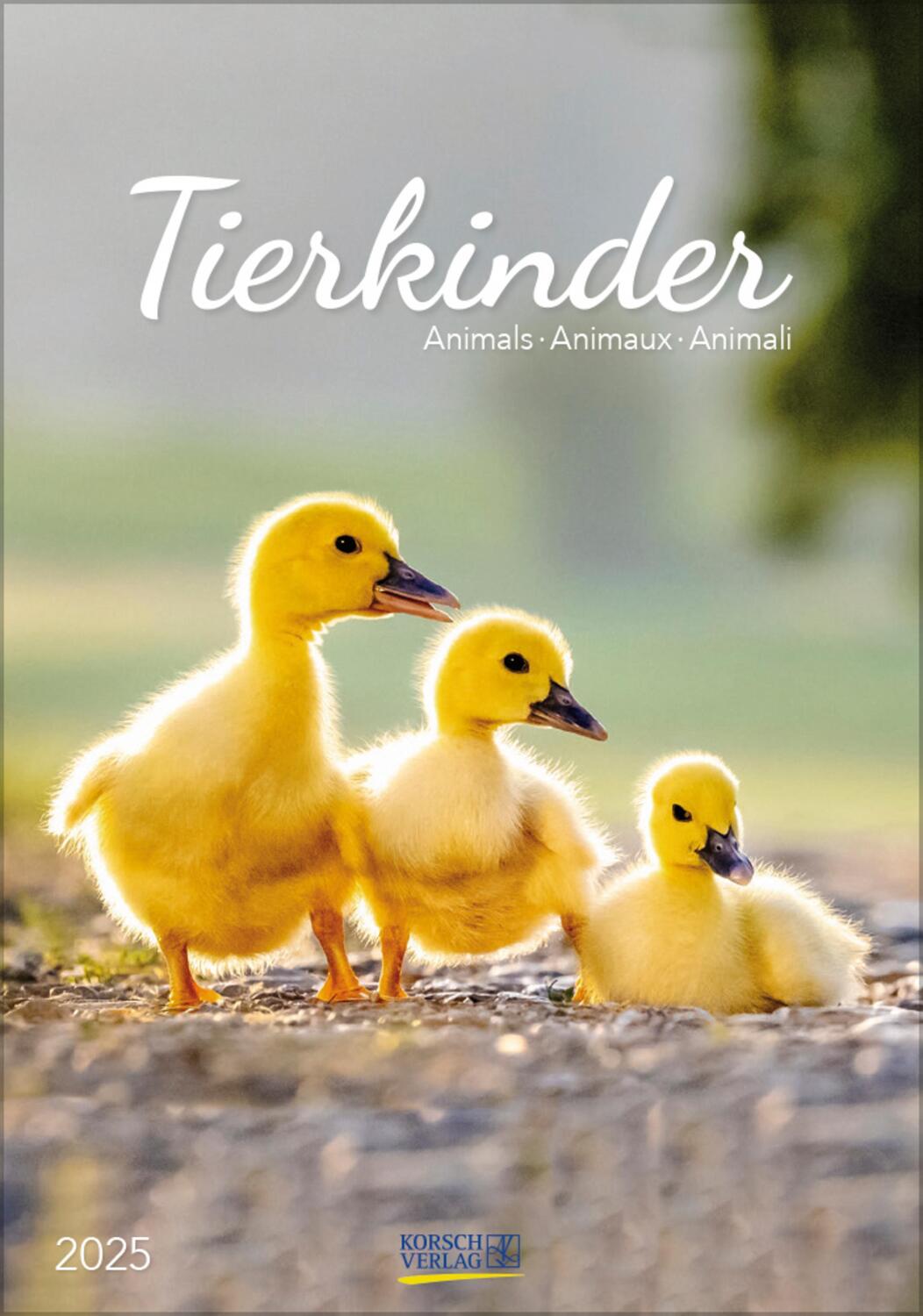 Cover: 9783731876212 | Tierkinder 2025 | Verlag Korsch | Kalender | Spiralbindung | 13 S.