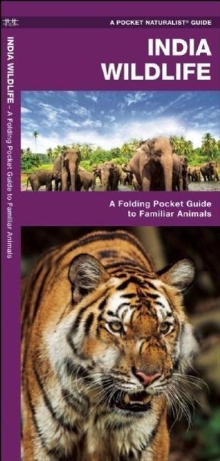 Cover: 9781583559406 | India Wildlife | A Folding Pocket Guide to Familiar Animals | Buch