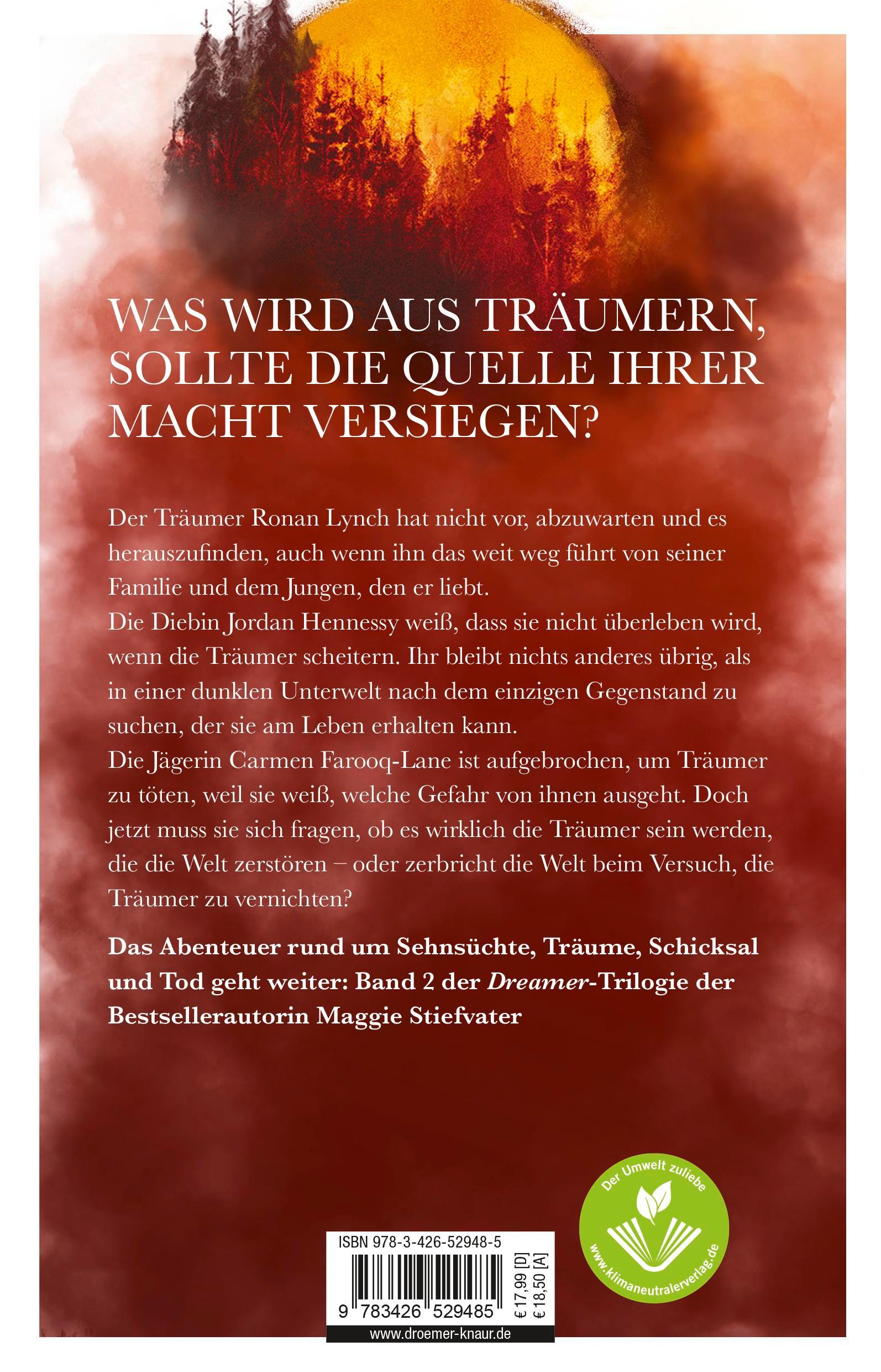 Rückseite: 9783426529485 | Wie Träume bluten | Roman SPIEGEL Bestseller-Autorin | Stiefvater