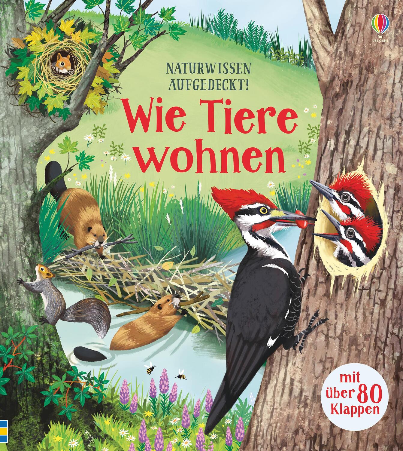 Cover: 9781789411409 | Naturwissen aufgedeckt! Wie Tiere wohnen | Emily Bone | Buch | Deutsch