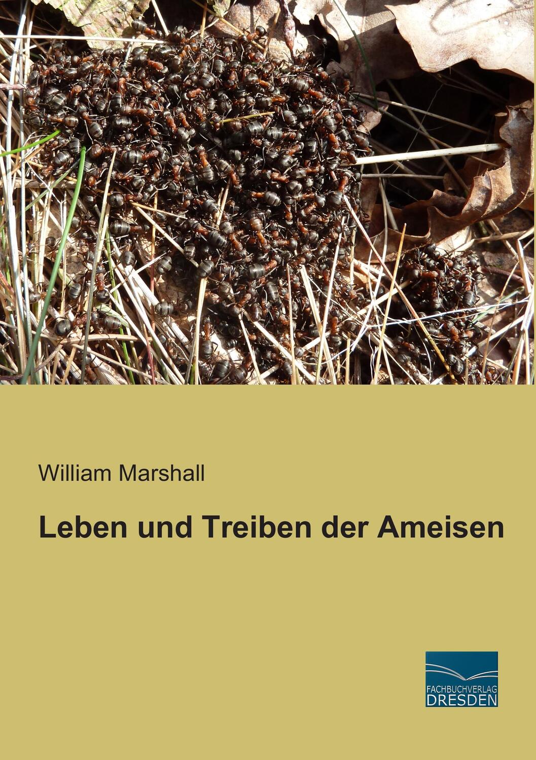 Cover: 9783956927188 | Leben und Treiben der Ameisen | William Marshall | Taschenbuch | 2015
