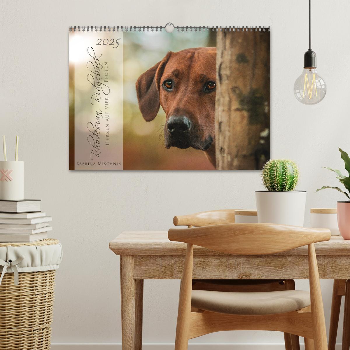 Bild: 9783435358267 | Rhodesian Ridgeback - Herzen auf vier Pfoten (Wandkalender 2025 DIN...