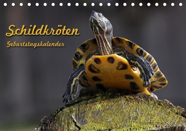 Cover: 9783660398656 | Schildkröten Geburtstagskalender (Tischkalender immerwährend DIN A5...
