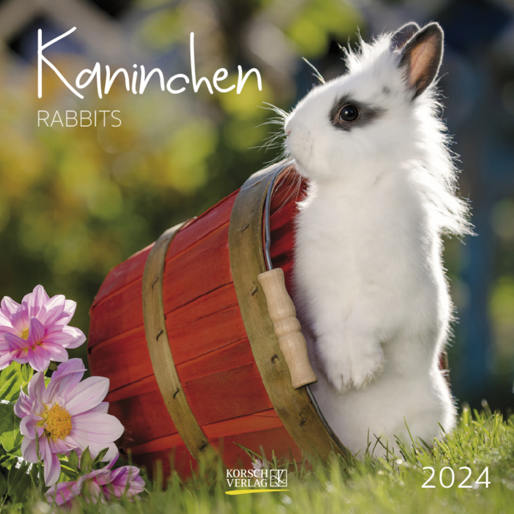 Cover: 9783731873174 | Kaninchen 2024 | Korsch Verlag | Kalender | Englisch Broschur | 13 S.