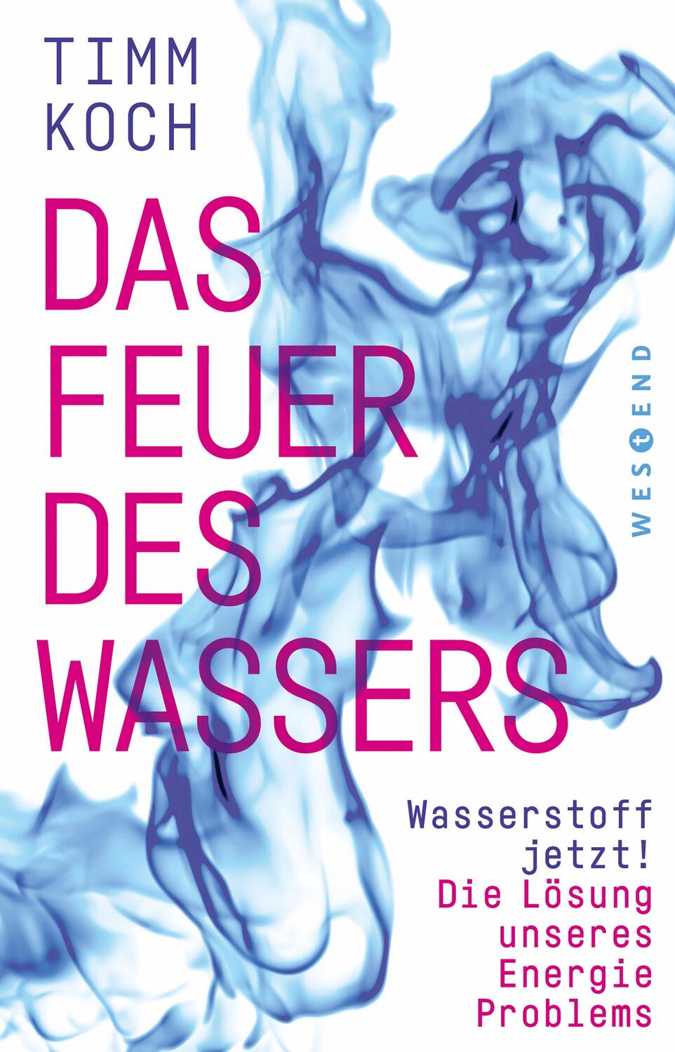 Cover: 9783864899164 | Das Feuer des Wassers | Timm Koch | Taschenbuch | Deutsch | 2022