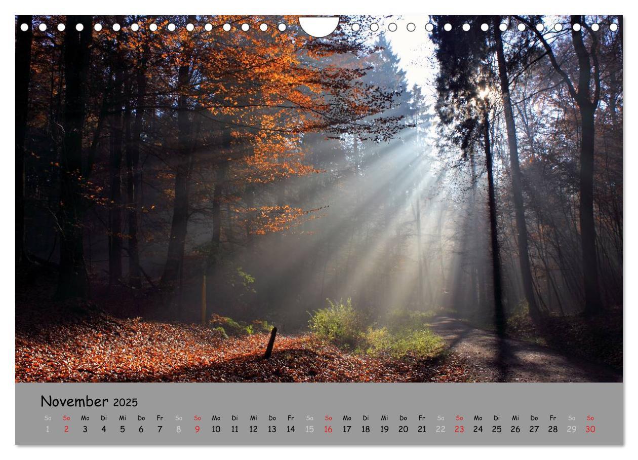 Bild: 9783435679232 | Lüneburger Heide - schön zu jeder Jahreszeit (Wandkalender 2025 DIN...