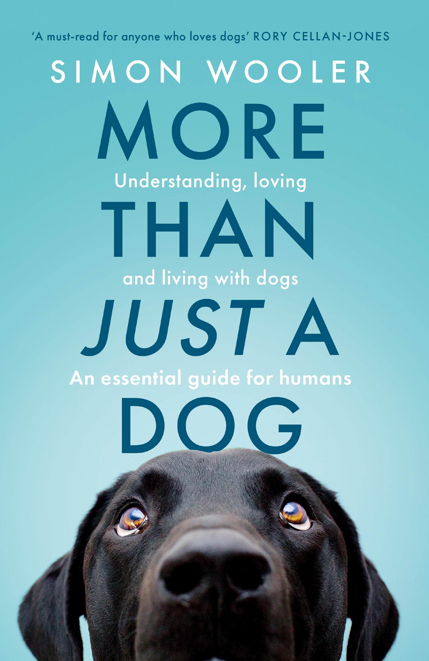 Cover: 9780008707484 | More Than Just a Dog | Simon Wooler | Taschenbuch | Englisch | 2025