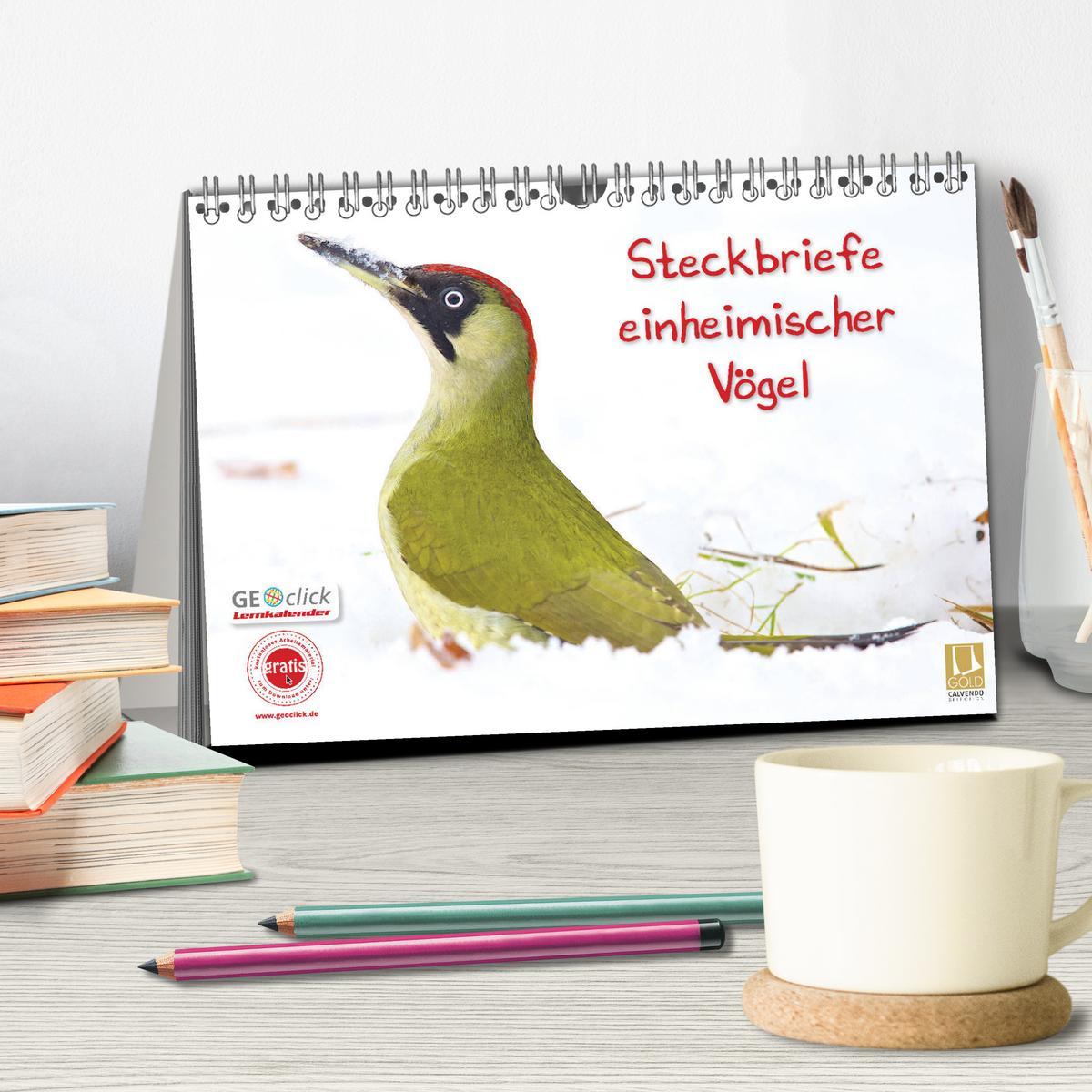 Bild: 9783435636792 | Steckbriefe einheimischer Vögel (Tischkalender 2025 DIN A5 quer),...