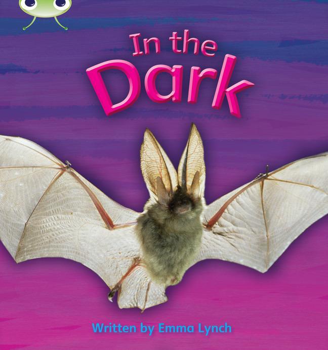 Cover: 9781408260401 | Bug Club Phonics Non Fiction Reception Phase 3 Set 10 In the Dark