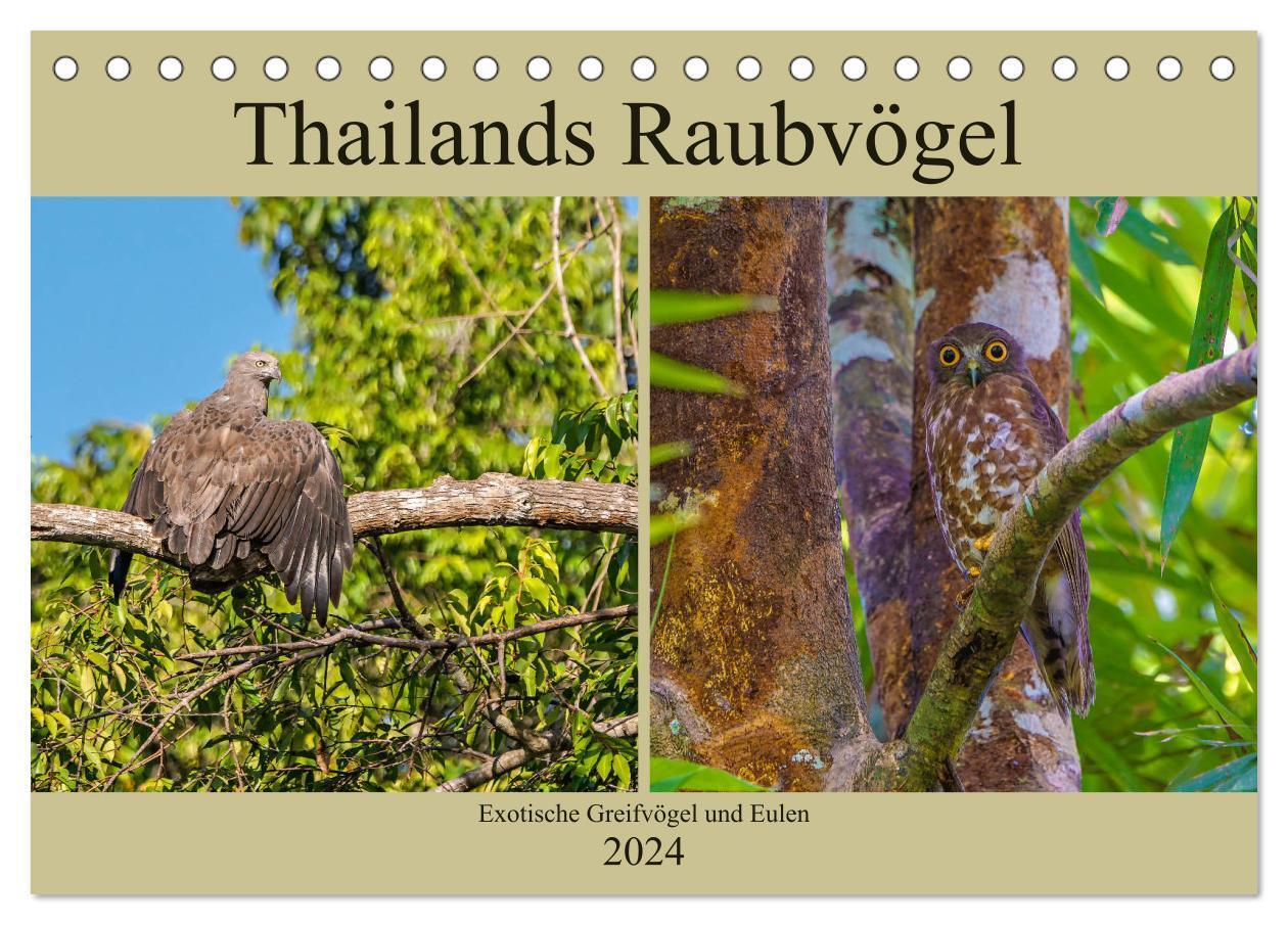 Cover: 9783675742710 | THAILANDS RAUBVÖGEL Exotische Greifvögel und Eulen (Tischkalender...