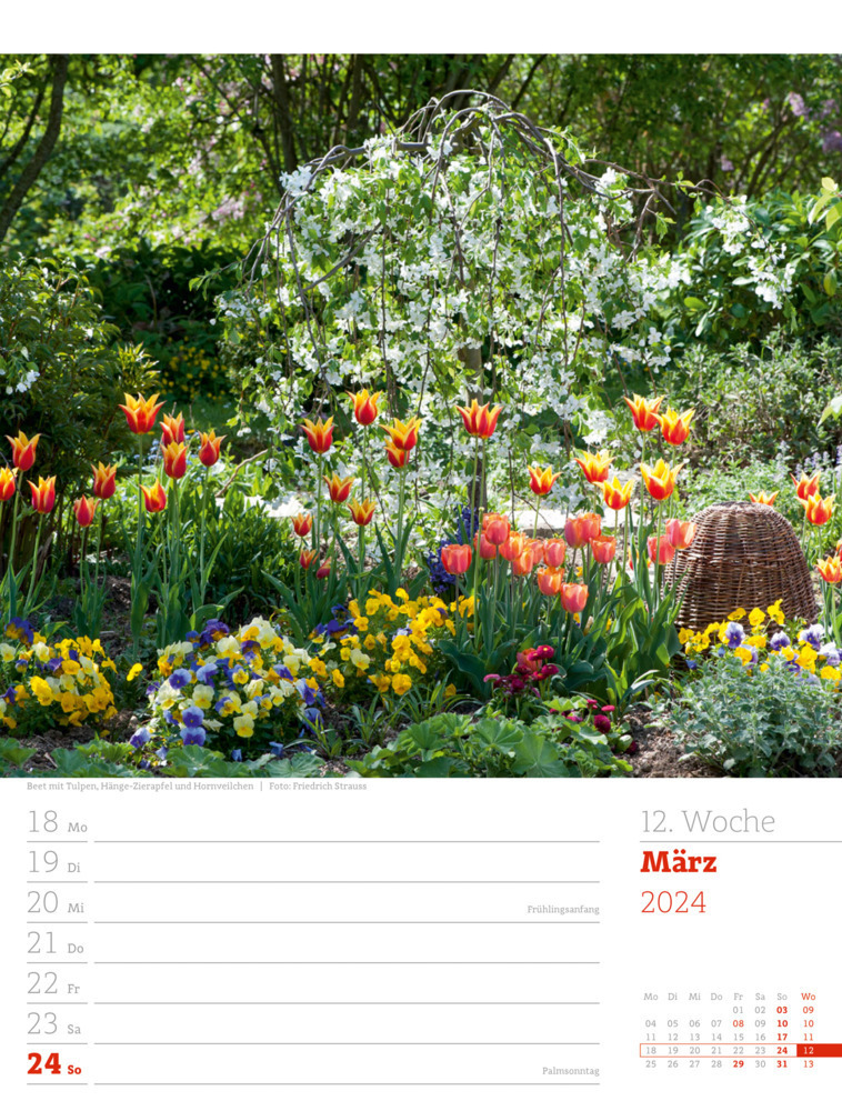 Bild: 9783838424996 | Gartenglück - Wochenplaner Kalender 2024 | Friedrich Strauß (u. a.)