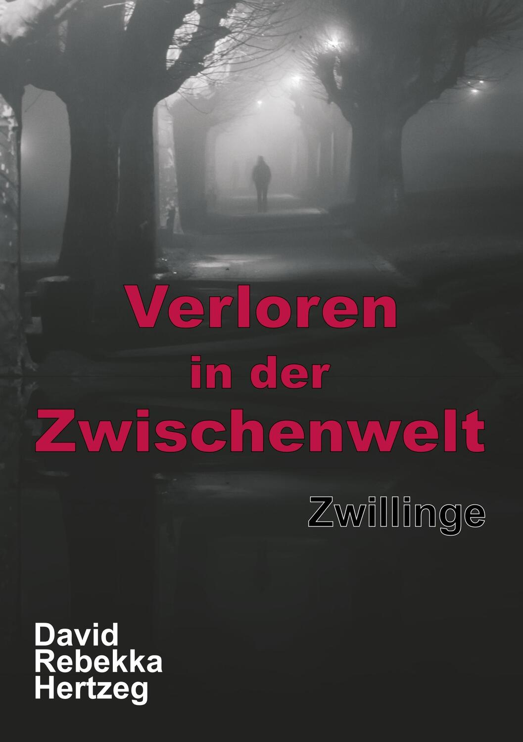Cover: 9783743961593 | Verloren in der Zwischenwelt | Zwillinge | David Rebekka Hertzeg