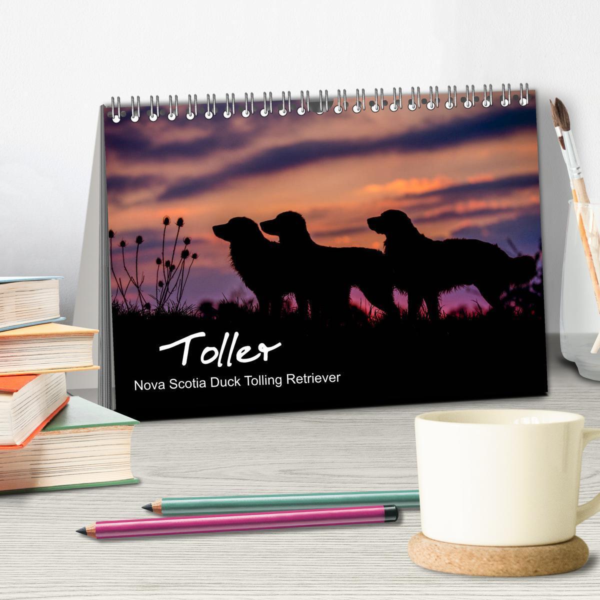 Bild: 9783435383771 | Toller - Nova Scotia Duck Tolling Retriever (Tischkalender 2025 DIN...