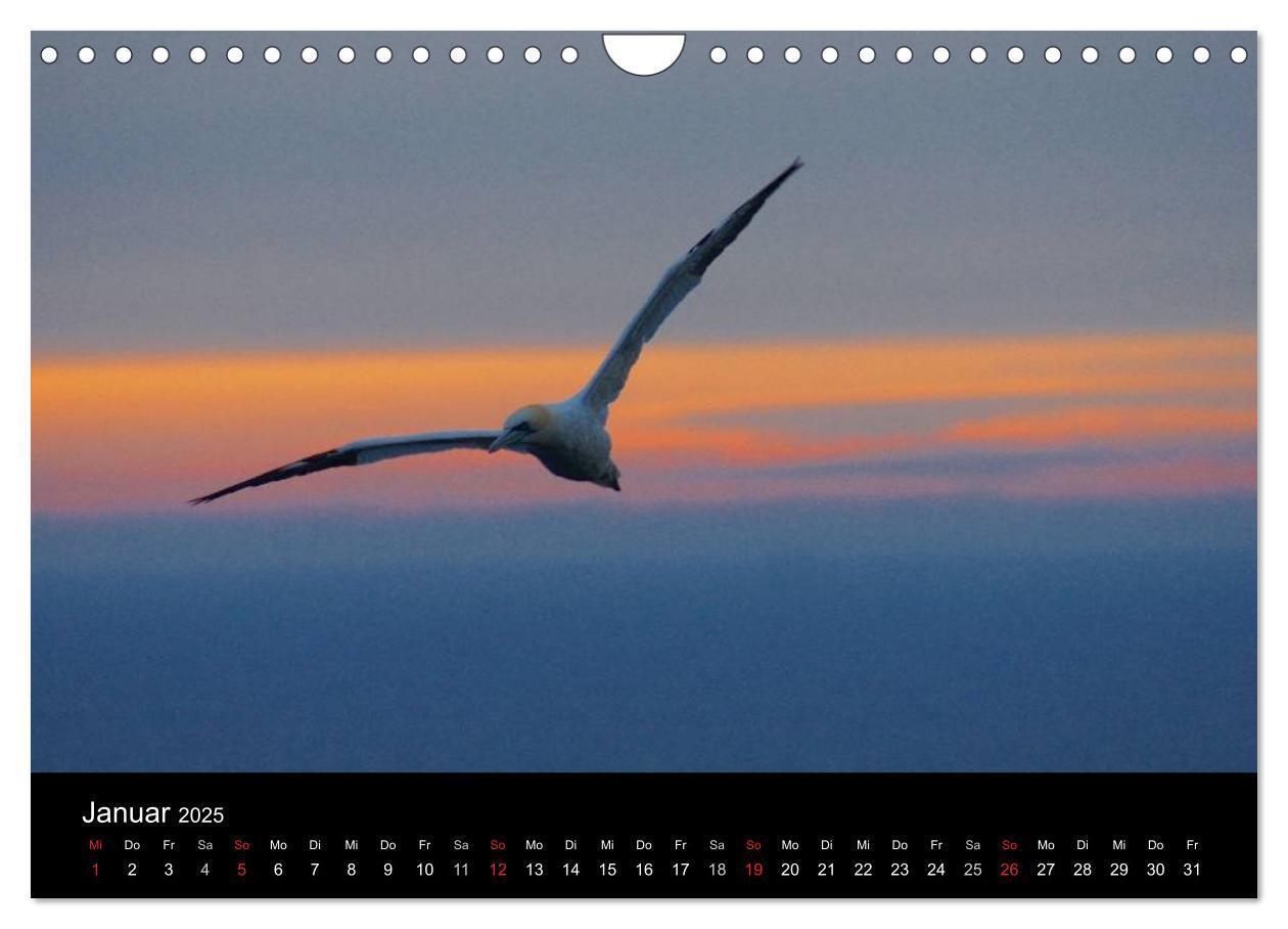 Bild: 9783435806867 | Abend in Helgoland (Wandkalender 2025 DIN A4 quer), CALVENDO...