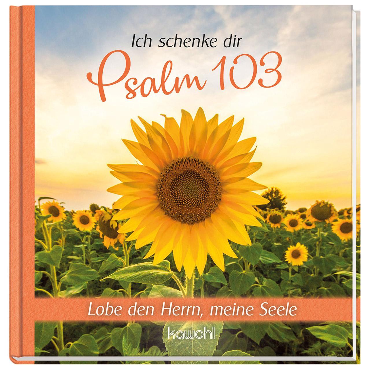 Cover: 9783863382063 | Ich schenke dir Psalm 103 | Lobe den Herrn, meine Seele | Buch | 32 S.
