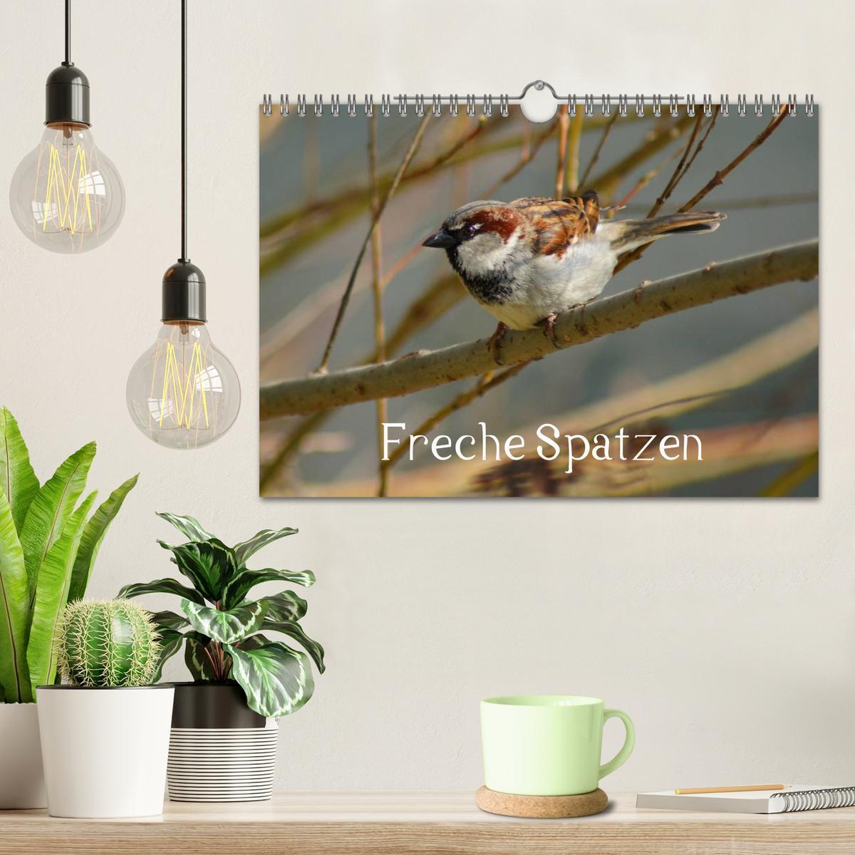 Bild: 9783435824922 | Freche Spatzen (Wandkalender 2025 DIN A4 quer), CALVENDO...