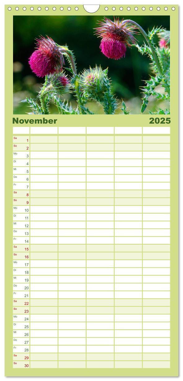 Bild: 9783457120347 | Familienplaner 2025 - Wildblumen 2025 mit 5 Spalten (Wandkalender,...