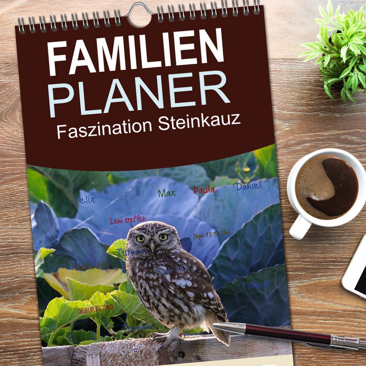 Bild: 9783457103838 | Familienplaner 2025 - Faszination Steinkauz mit 5 Spalten...