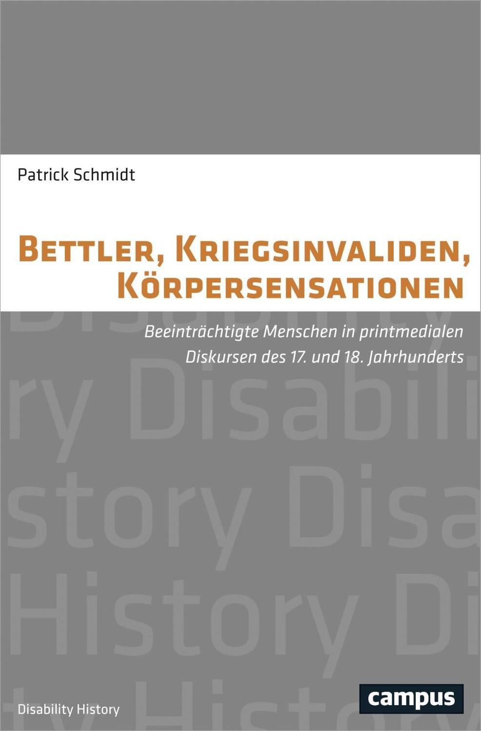 Cover: 9783593507132 | Bettler, Kriegsinvaliden, Körpersensationen | Patrick Schmidt | Buch