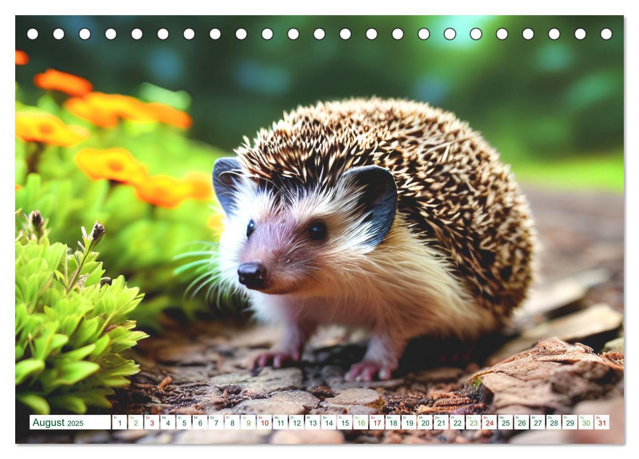 Bild: 9783383869730 | Niedliche Igel (Tischkalender 2025 DIN A5 quer), CALVENDO...