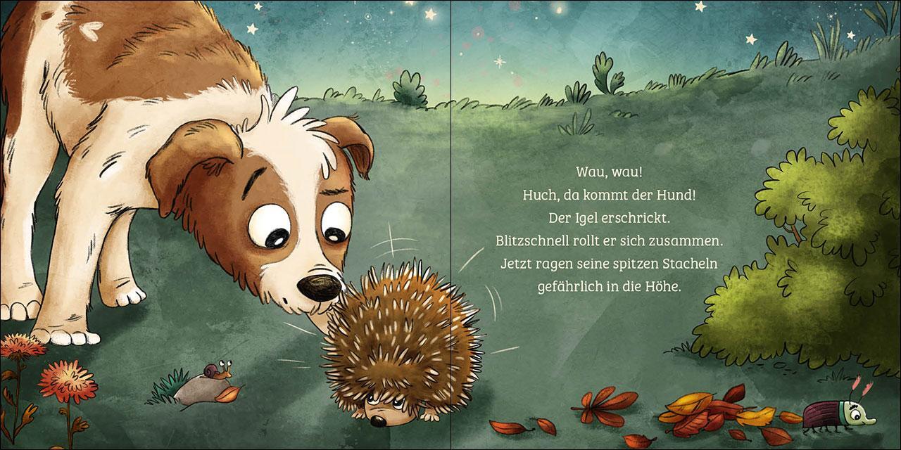Bild: 9783743213159 | Mein erstes Naturbuch - Der Igel | Sandra Grimm | Buch | Naturkind