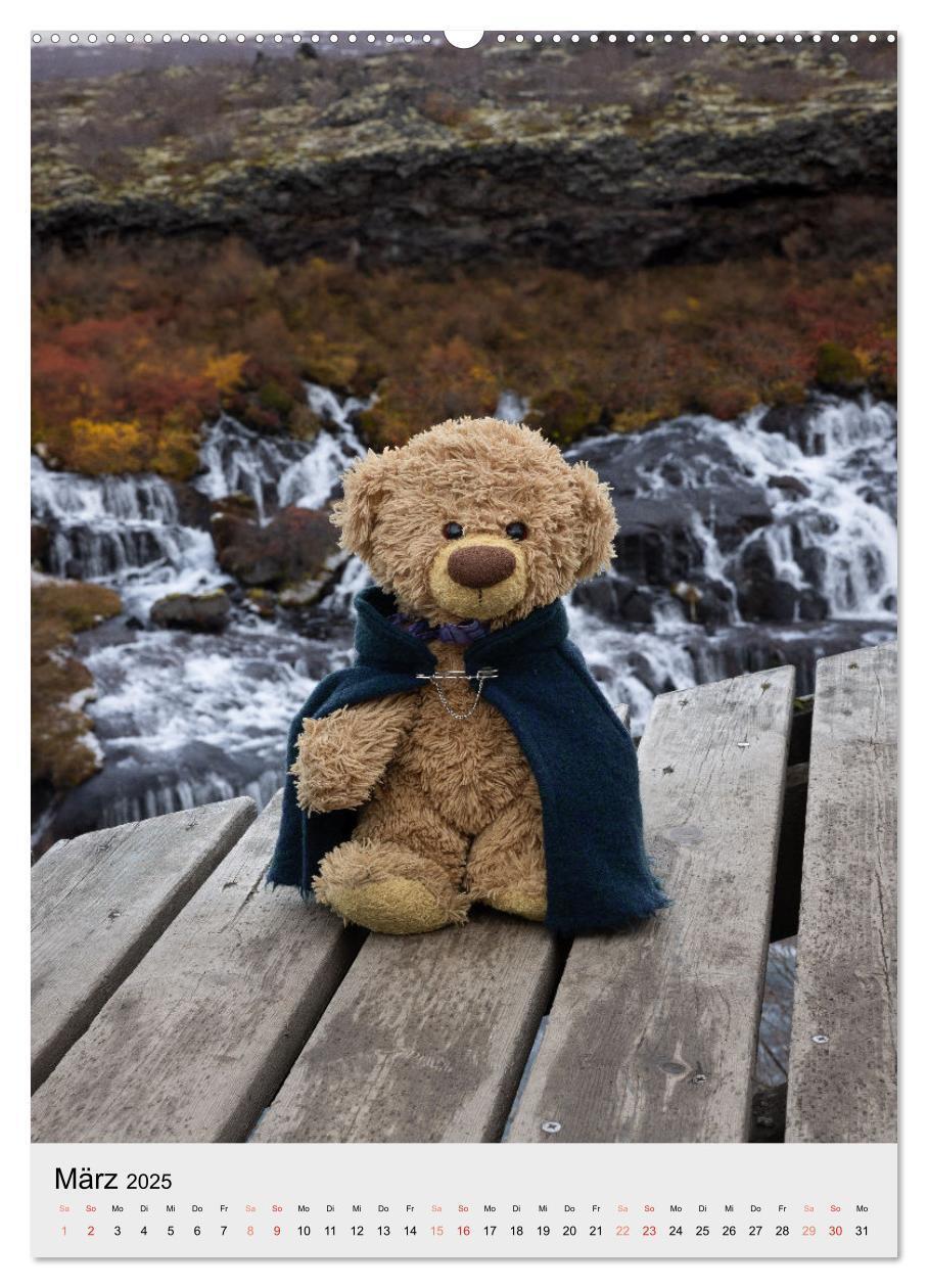 Bild: 9783457136737 | Travelling Teddy in Island (Wandkalender 2025 DIN A2 hoch),...