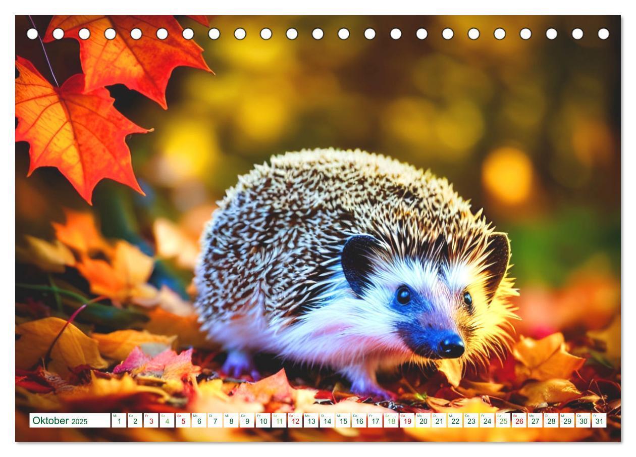 Bild: 9783383869730 | Niedliche Igel (Tischkalender 2025 DIN A5 quer), CALVENDO...