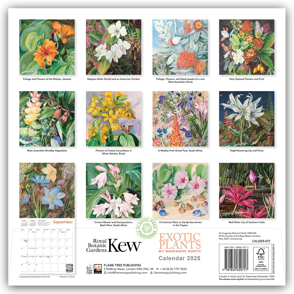 Rückseite: 9781835620717 | Kew Gardens: Exotic Plants by Marianne North Wall Calendar 2025...