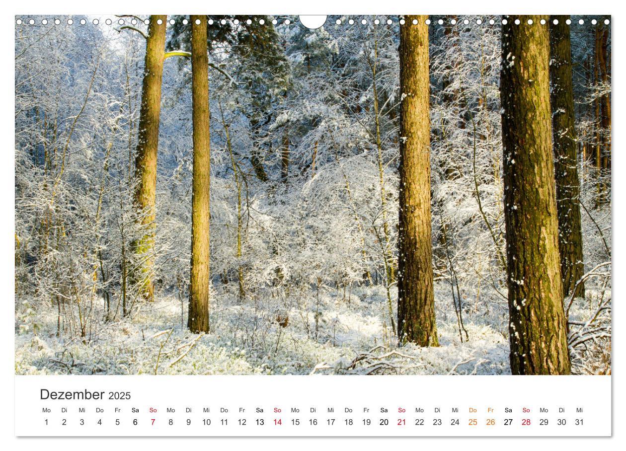 Bild: 9783435057702 | Faszination Natur - Bilder aus Mecklenburg-Vorpommern (Wandkalender...